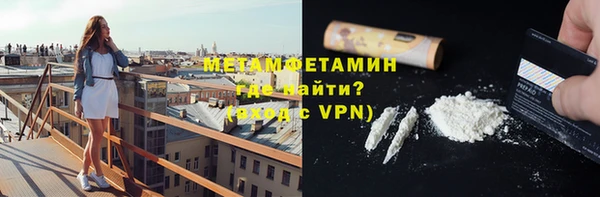 трава Няндома