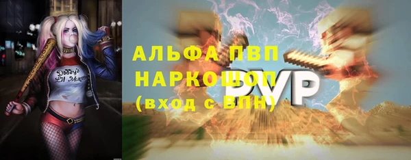 трава Няндома