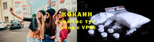 трава Няндома