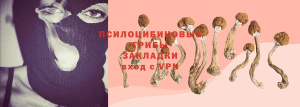 spice Нязепетровск