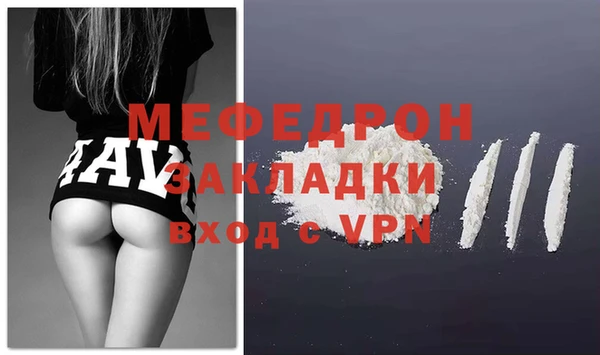 трава Няндома