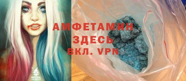 трава Няндома
