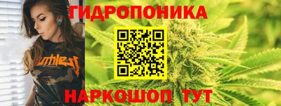 стаф Жуковский