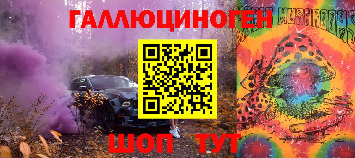 где можно купить наркотик  Кондопога  Галлюциногенные грибы Psilocybe 