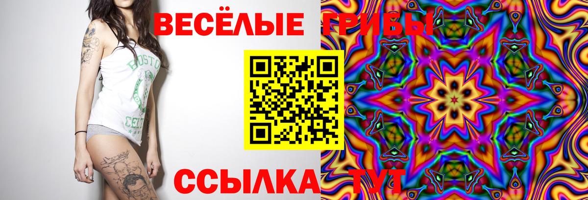 Псилоцибиновые грибы Magic Shrooms Кондопога
