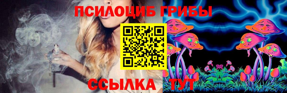Кондопога  Псилоцибиновые грибы Psilocybine cubensis  Вход с VPN 